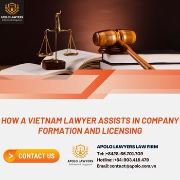 How a Vietnam Lawyer Assists in Company Formation and Licensing