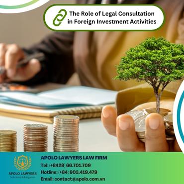 The Role of Legal Consultation in Foreign Investment Activities