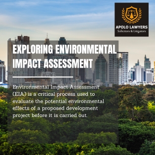 Exploring environmental impact assessment