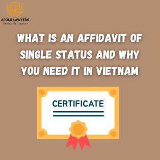 What Is an Affidavit of Single Status and Why You Need It in Vietnam