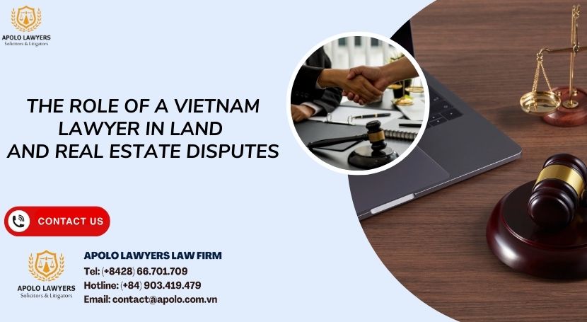 The Role of a Vietnam Lawyer in Land and Real Estate Disputes