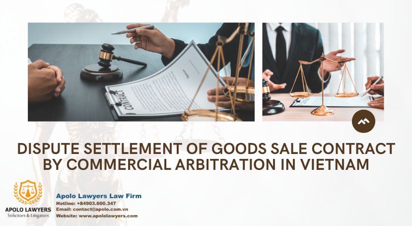 dich-vu-luat-su-apolo-lawyers