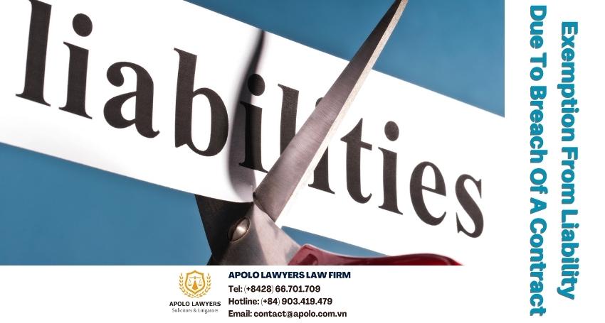 dich-vu-luat-su-apolo-lawyers