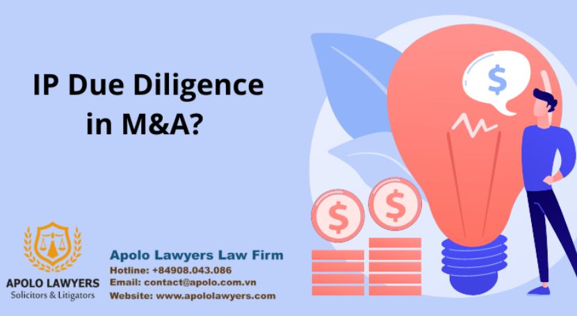 dich-vu-luat-su-apolo-lawyers