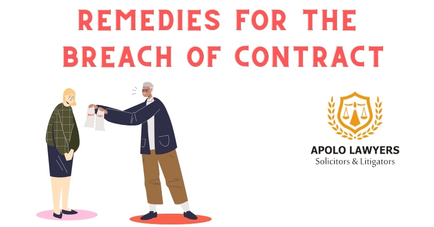 dich-vu-luat-su-apolo-lawyers