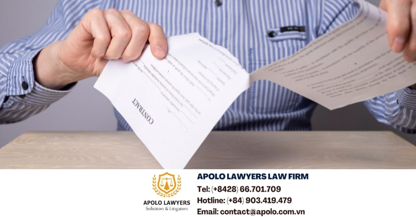 dich-vu-luat-su-apolo-lawyers