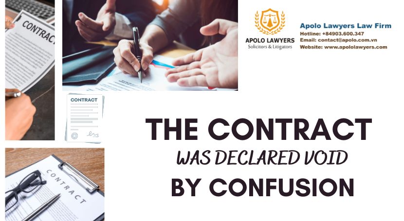 dich-vu-luat-su-apolo-lawyers