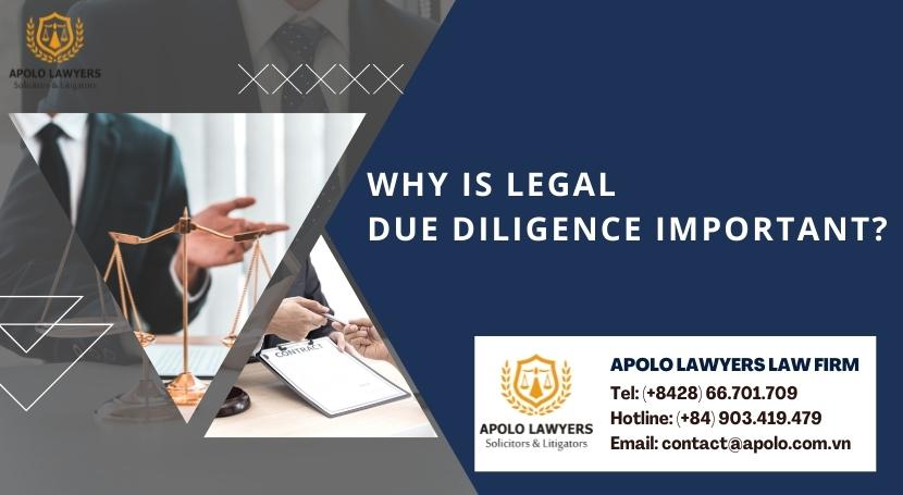 dich-vu-luat-su-apolo-lawyers