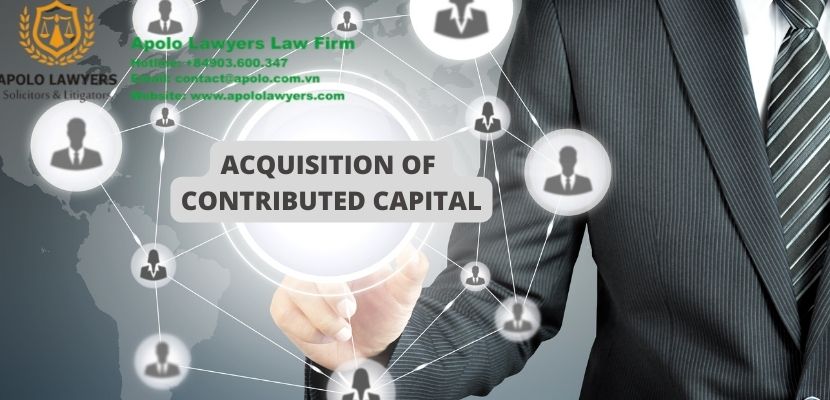 dich-vu-luat-su-apolo-lawyers