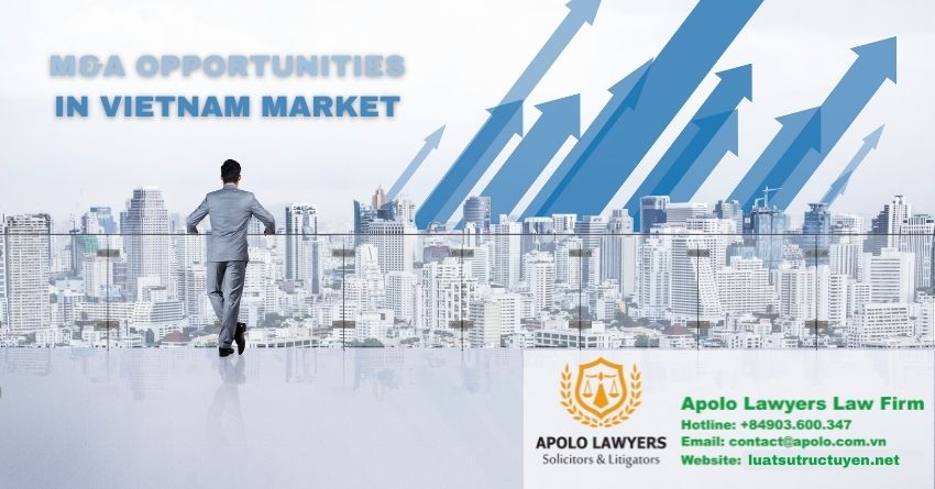 dich-vu-luat-su-apolo-lawyers