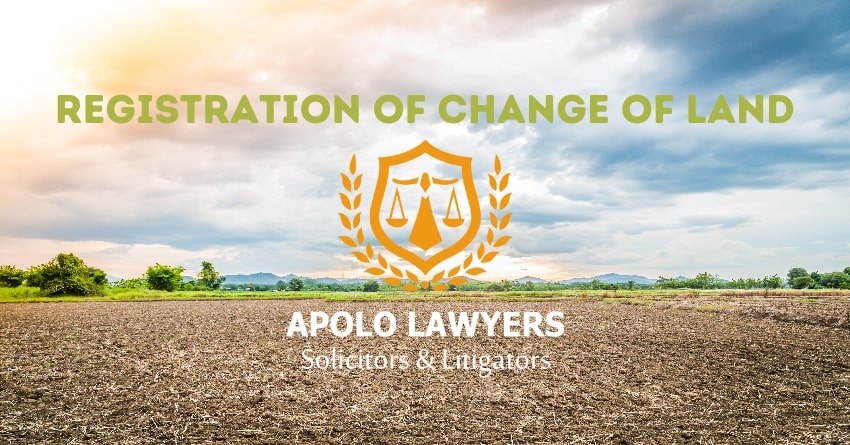 dich-vu-luat-su-apolo-lawyers